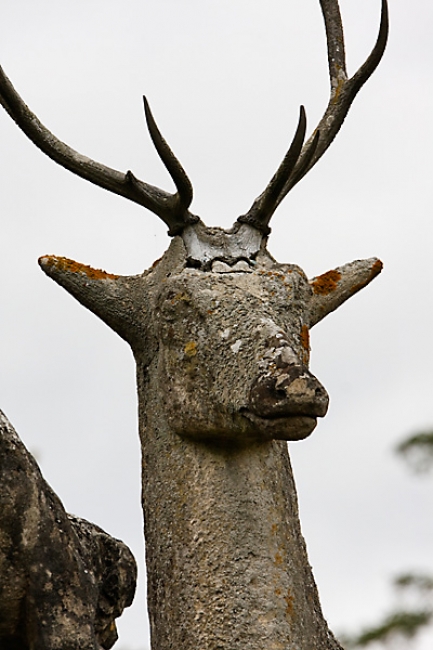 Chateau de Raray-040